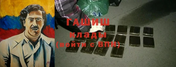 шишки Инта
