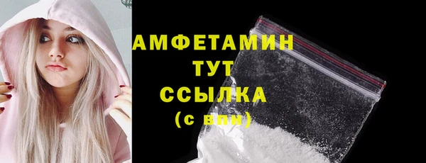 шишки Инта