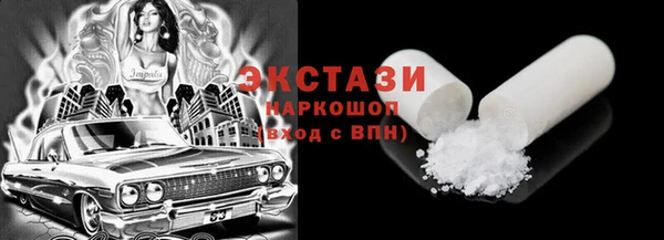 шишки Инта