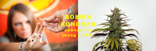 кокс Каменка