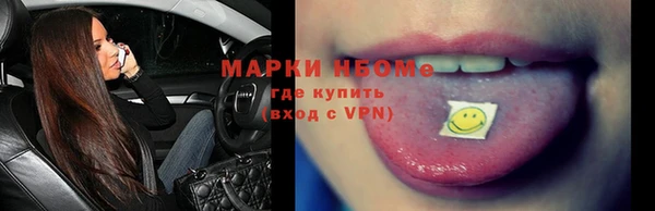 шишки Инта