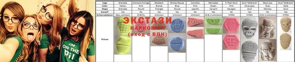 шишки Инта