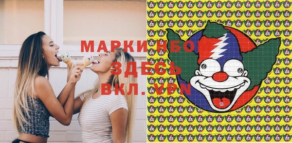 шишки Инта