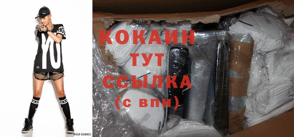 шишки Инта